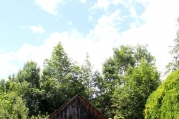 obstgarten.jpg