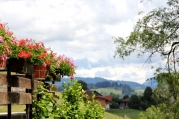 balkon-geranien.jpg