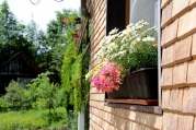 blumenkasten.jpg